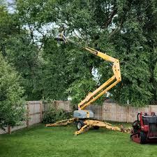 Best Tree Trimming and Pruning  in Galveston, IN
