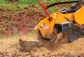 Best Arborist Consultation Services  in Galveston, IN